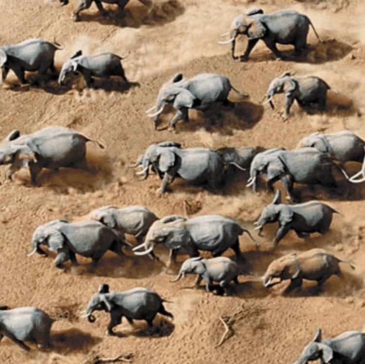 30+ Eerie Real-Life Drone Photos That Will Send Shivers Down Your Spine