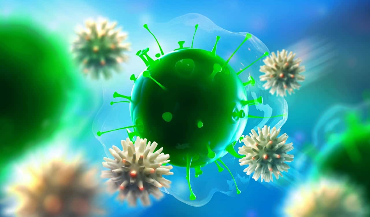 Some People Are Growing an Extra Artery &#8211; What that Means for Human Evolution