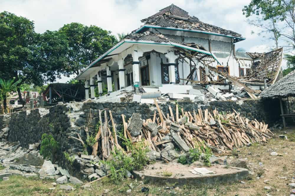 Snake-Eating Spiders and Other Science News People Missed