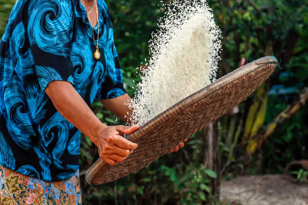 Snake-Eating Spiders and Other Science News People Missed