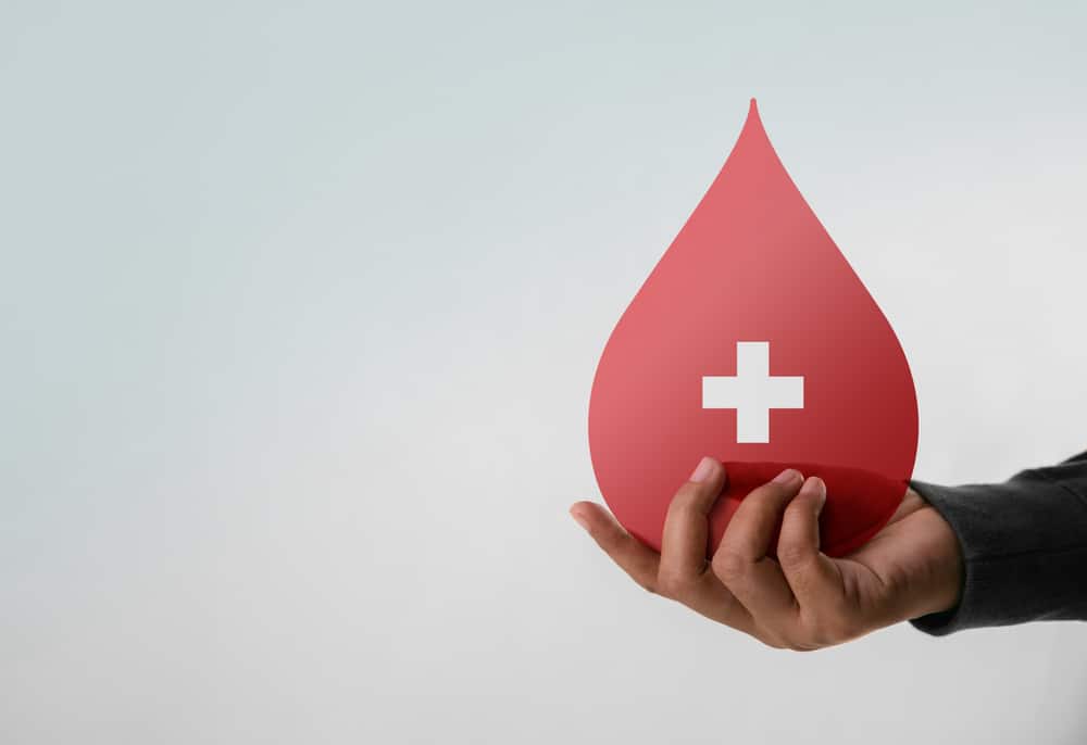 Snake-Eating Spiders and Other Science News People Missed