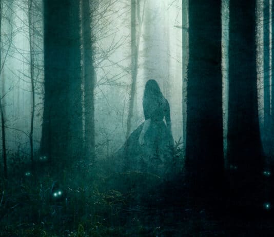 Terrifying Trail Cam Footage that Will Scare Anybody