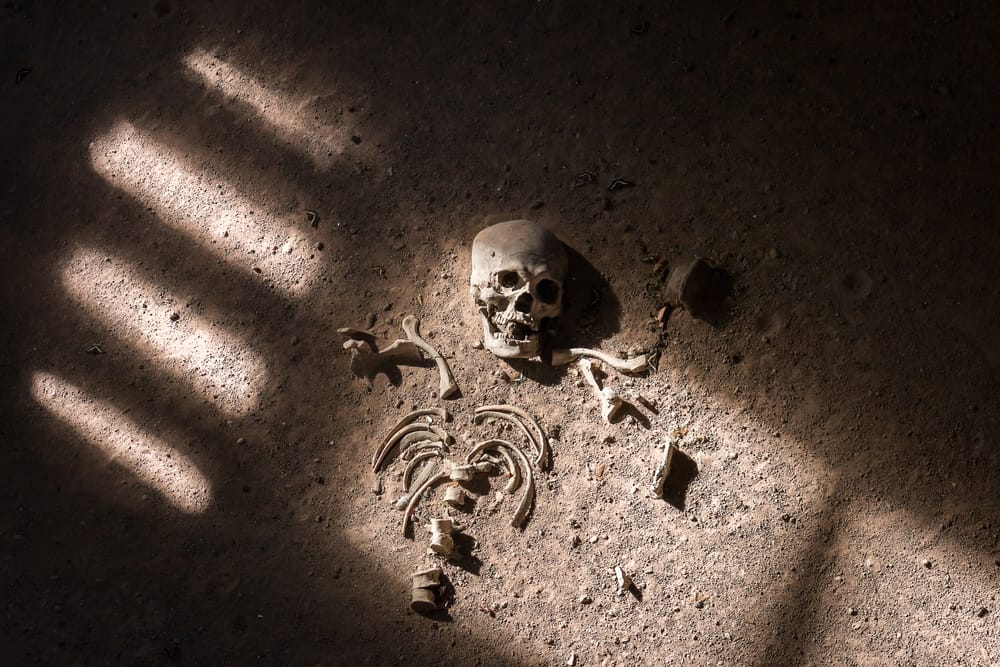 Snake-Eating Spiders and Other Science News People Missed