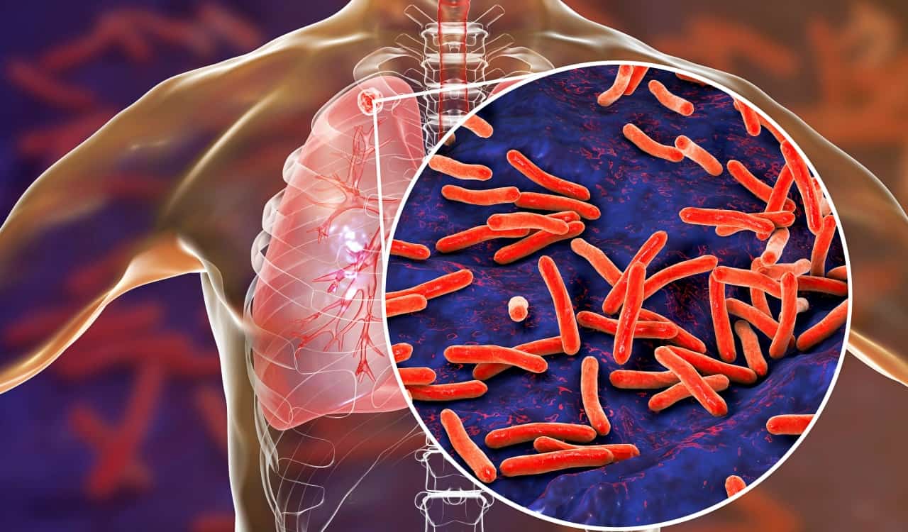 Some People Are Growing an Extra Artery &#8211; What that Means for Human Evolution