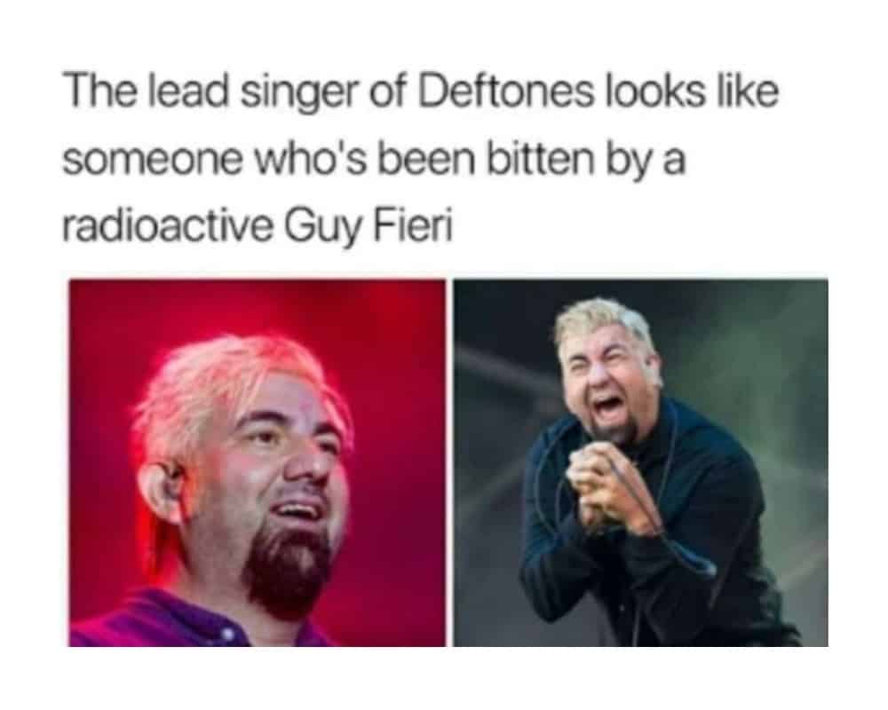 40+ Funny Insults Directed at Celebrities