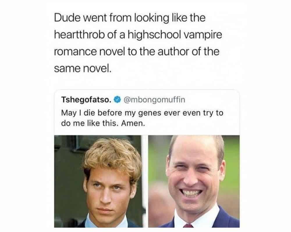 40+ Funny Insults Directed at Celebrities