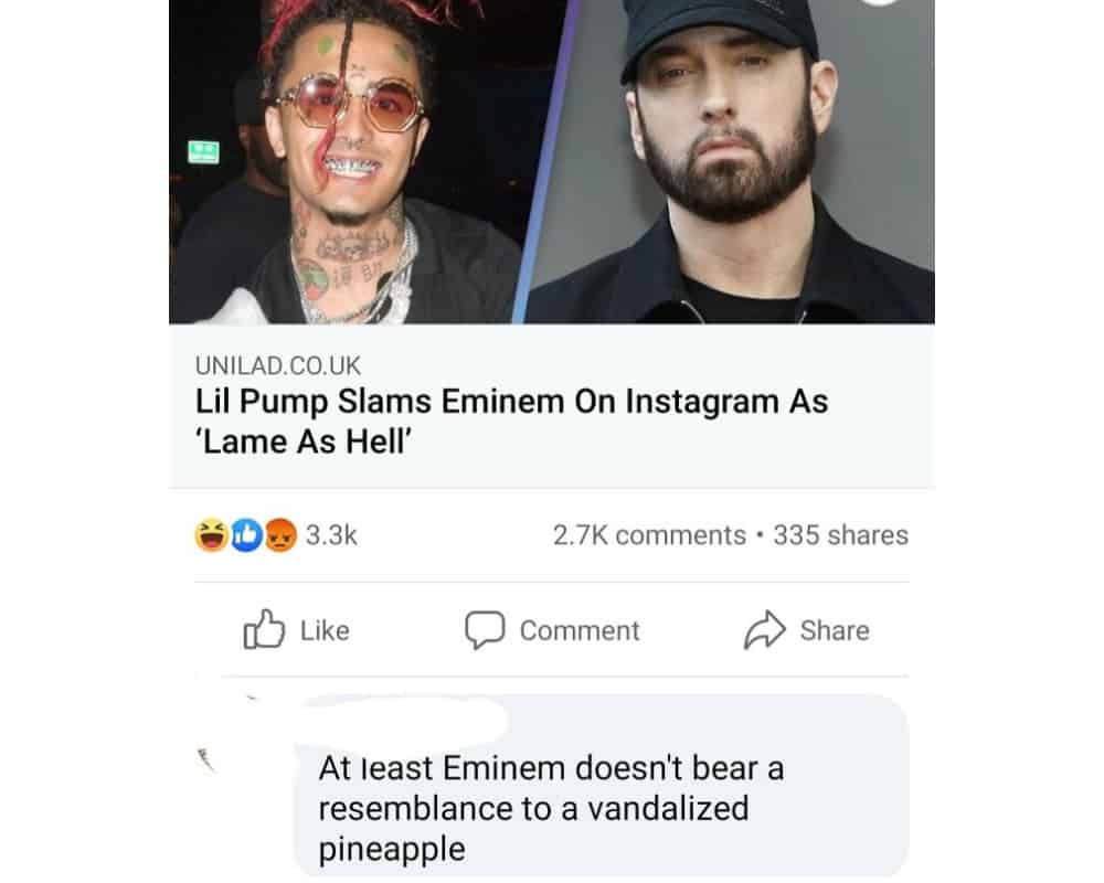 40+ Funny Insults Directed at Celebrities