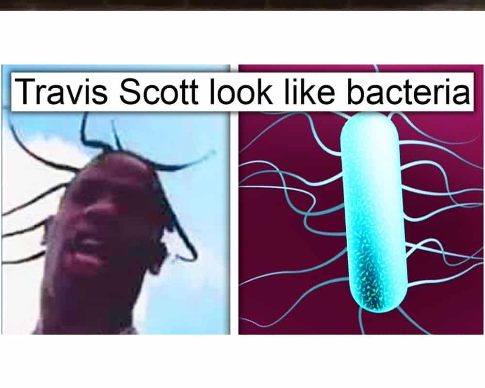 40+ Funny Insults Directed at Celebrities