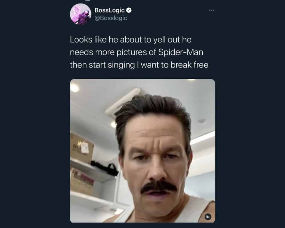 40+ Funny Insults Directed at Celebrities