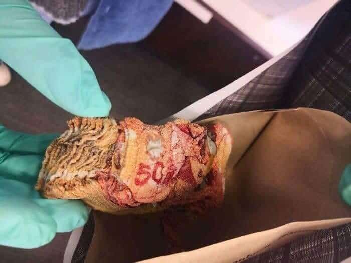 Incredibly Unlucky People Who Broke Some Very Expensive Objects