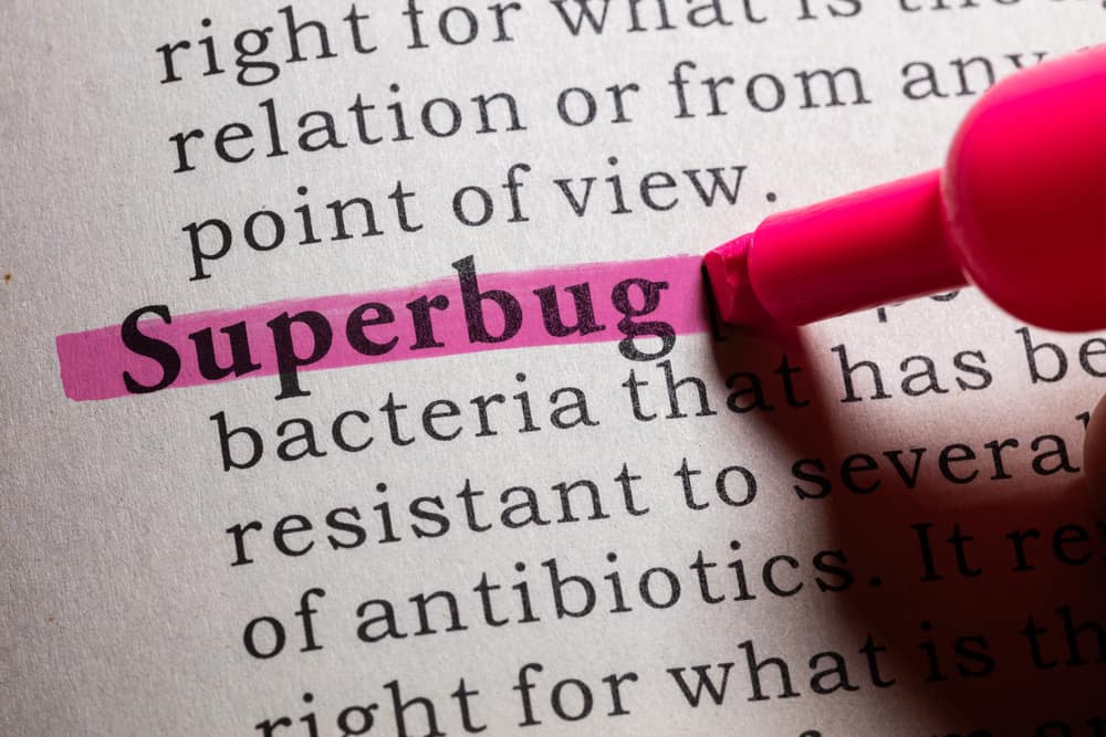 Fake,dictionary,,dictionary,definition,of,the,word,superbug.
