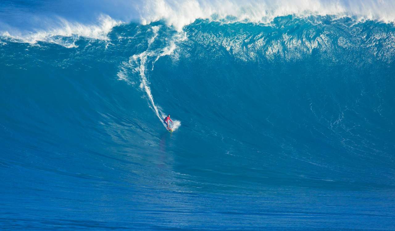 Disturbing Images That Will Trigger Your Thalassophobia