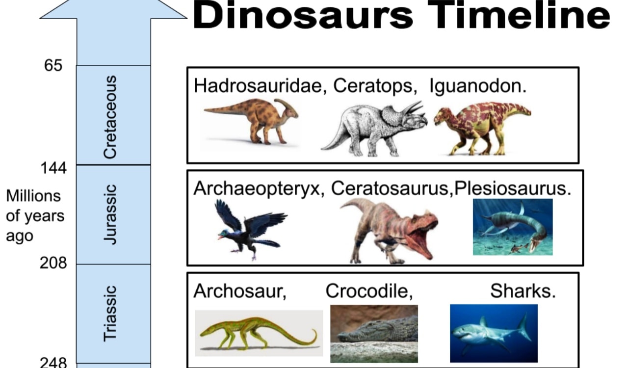 Dinosaurs Timline