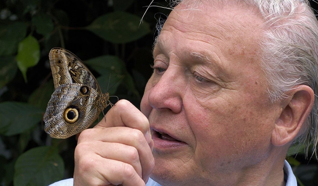 The Newest Animal Species Discovered in the Last Decade