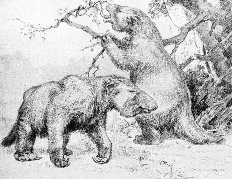 Massive and Terrifying Extinct Animals that Roamed the Earth