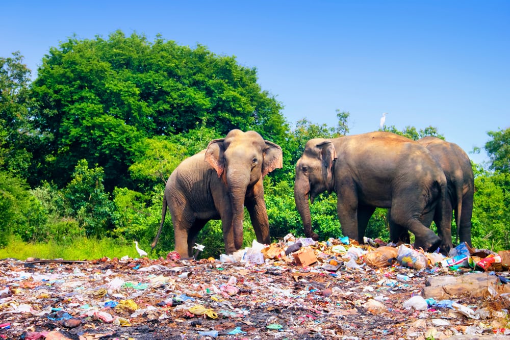 Humans Have Polluted these Places Beyond Recognition