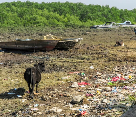Shocking Photos that Prove Humans Destroy Everything They Touch