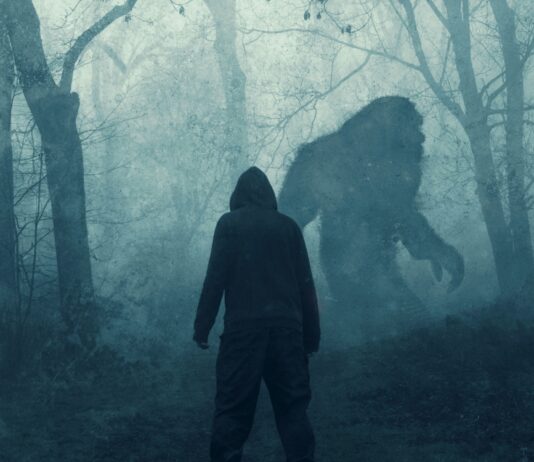 People Share Their Creepiest Encounters With Bigfoot And Other Mythological Monsters