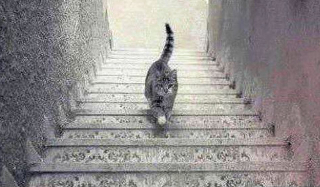 Real Life Glitches In The Matrix that Are Impossible To Ignore