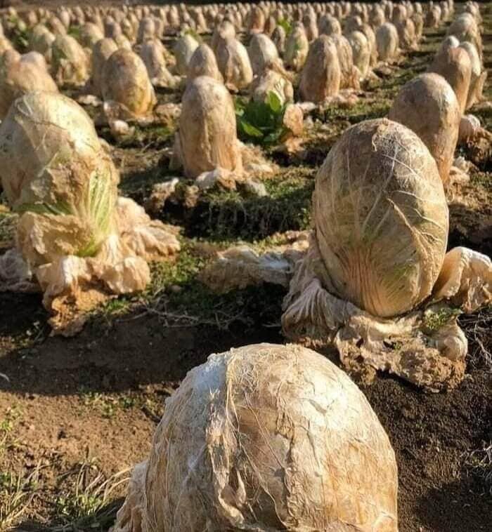 These Unbelievable Pictures Will Have You Questioning Reality