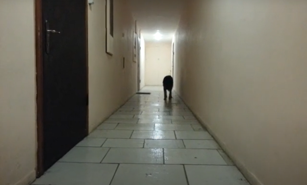 Real Life Glitches In The Matrix that Are Impossible To Ignore