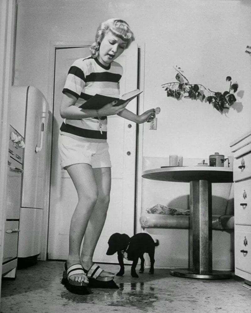 Photos of Totally Bizarre Inventions From the 1920&#8217;s to 70&#8217;s