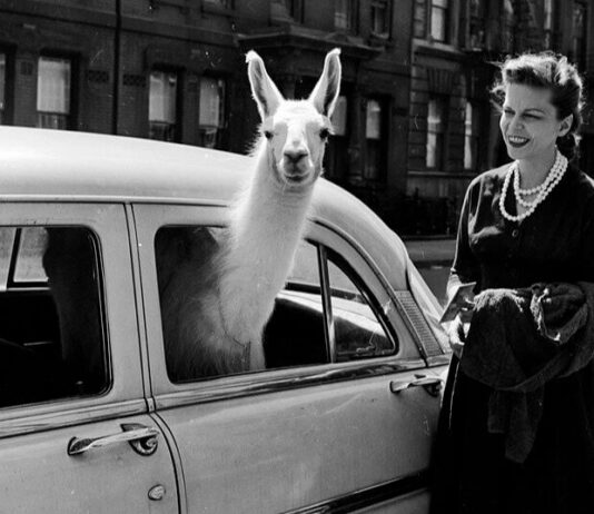 40 Rare Photos Every History Buff Should See