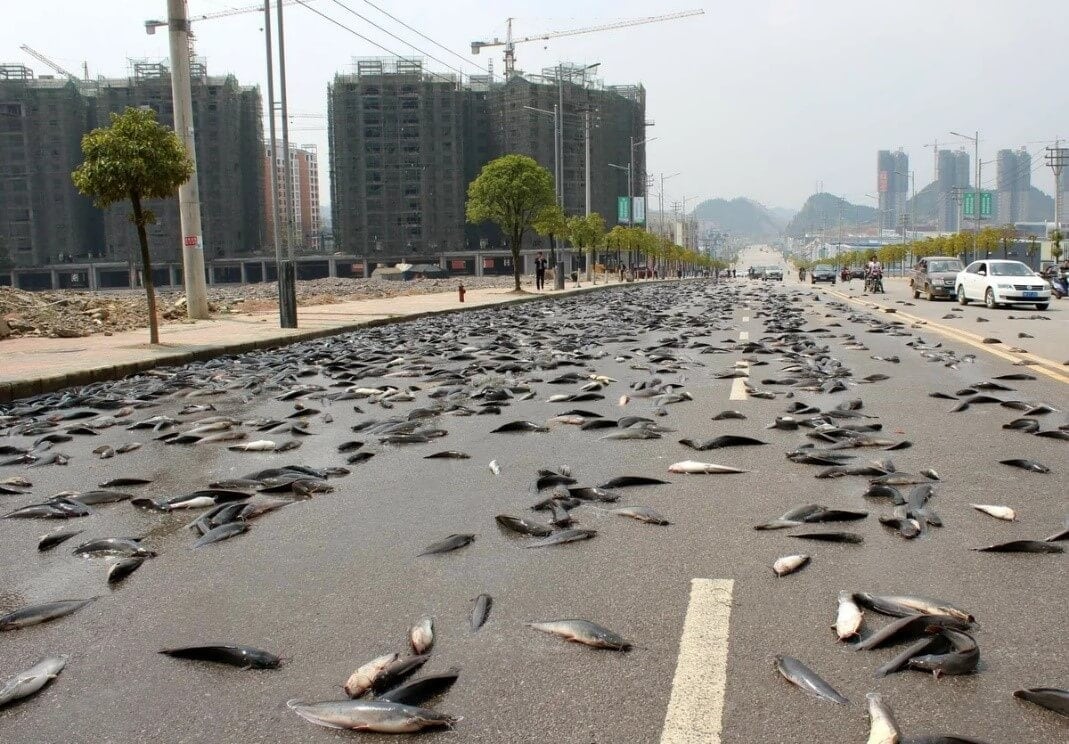 These Unbelievable Pictures Will Have You Questioning Reality