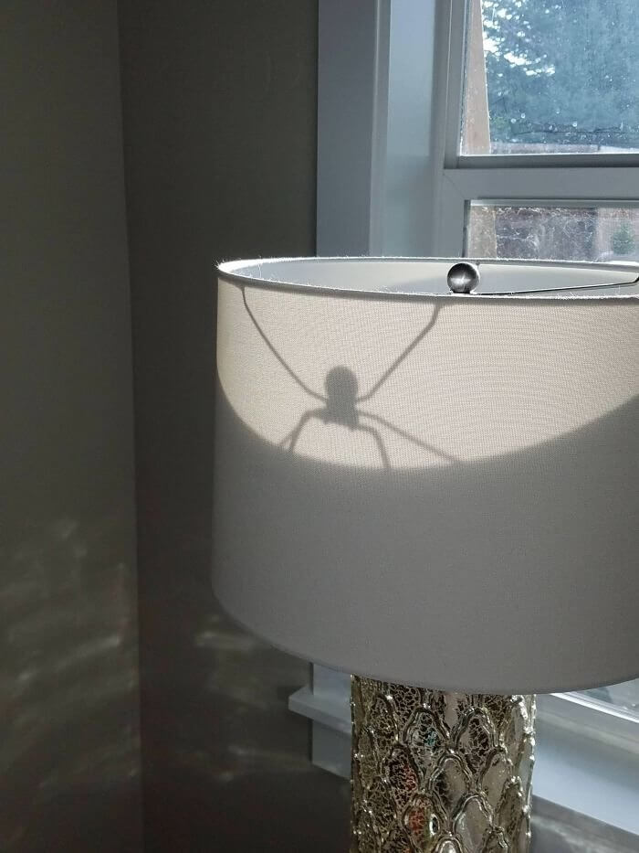 These Unbelievable Pictures Will Have You Questioning Reality