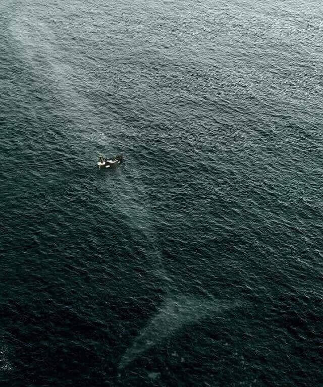 These Unbelievable Pictures Will Have You Questioning Reality