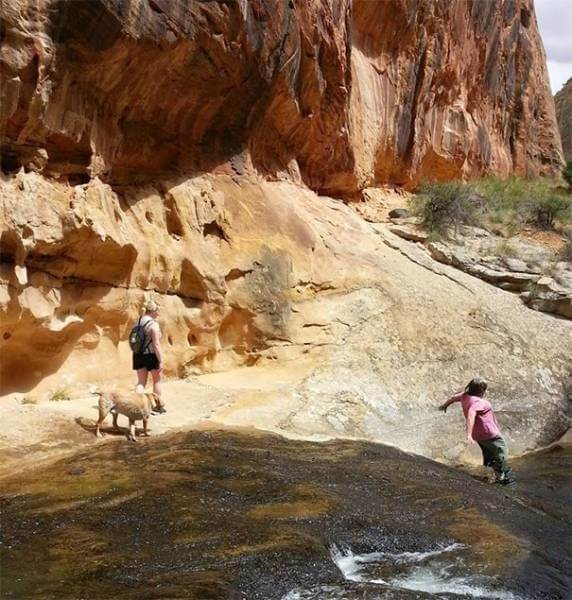 Hilarious Snapshots Moments Before Disaster Struck