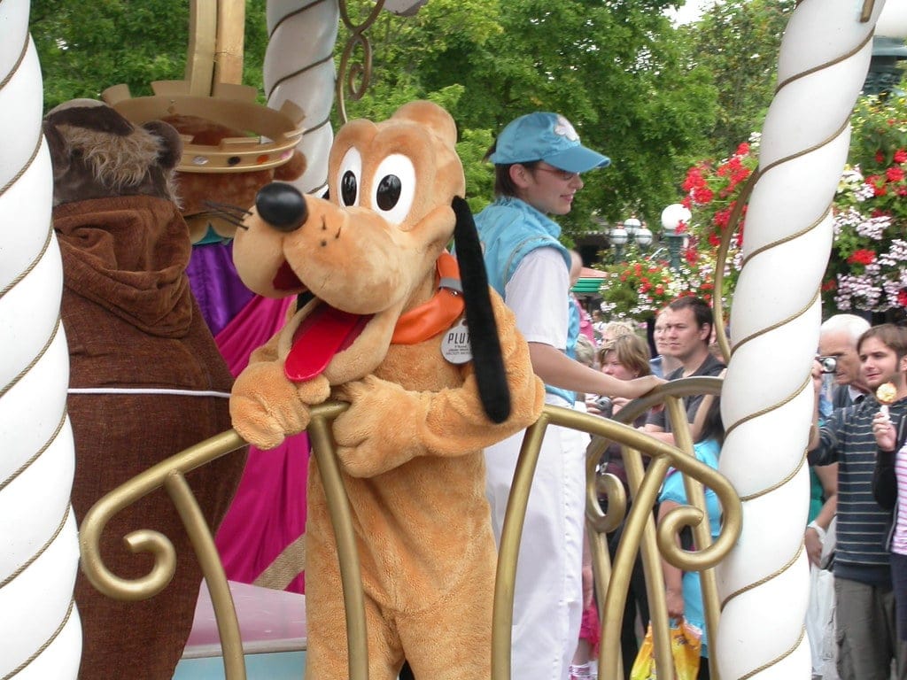 Disney Park Employees Reveal the Craziest Things They Witness at Work