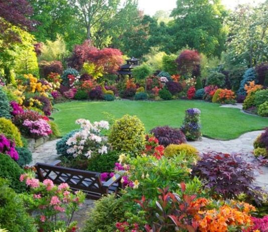 40 Perennials for the Best Summer Garden