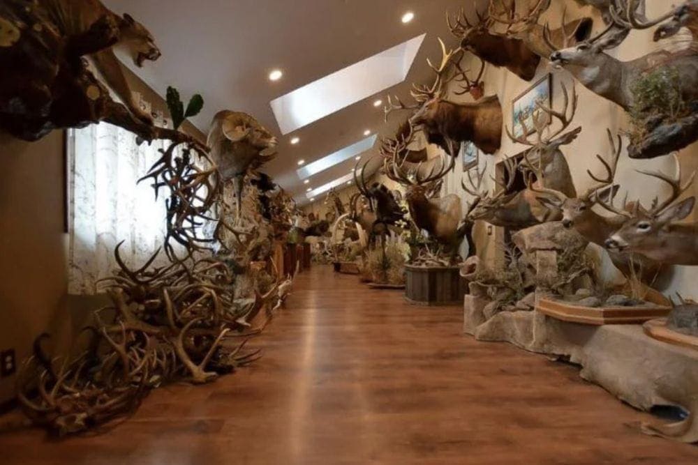 Ridiculous Photos Of Houses That Make Us Shake Our Heads In Disappointment