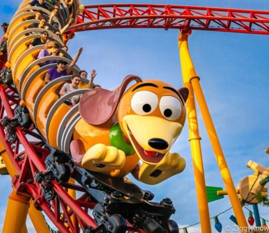 Disney Park Employees Reveal the Craziest Things They Witness at Work