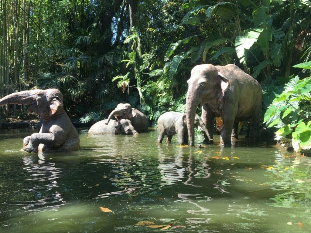 Disney Park Employees Reveal the Craziest Things They Witness at Work