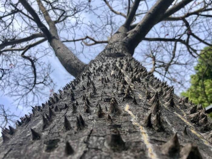 These Unbelievable Pictures Will Have You Questioning Reality