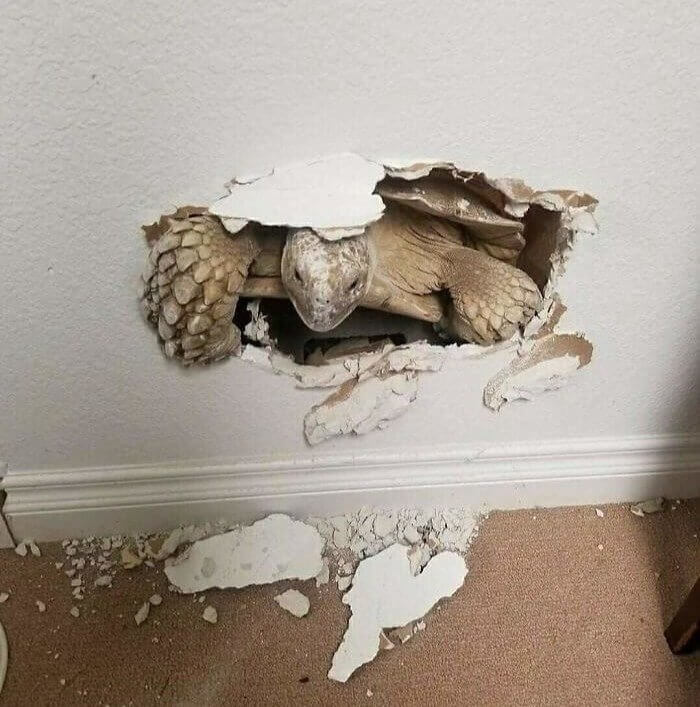 These Unbelievable Pictures Will Have You Questioning Reality