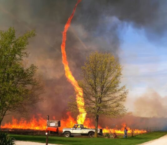 Mind-Blowing Science Photos You’ve Probably Never Seen Before