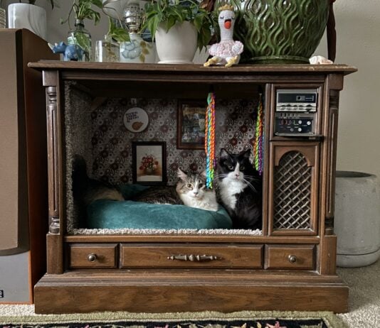 Impressive Upcycled DIYs That Mother Earth Approves Of