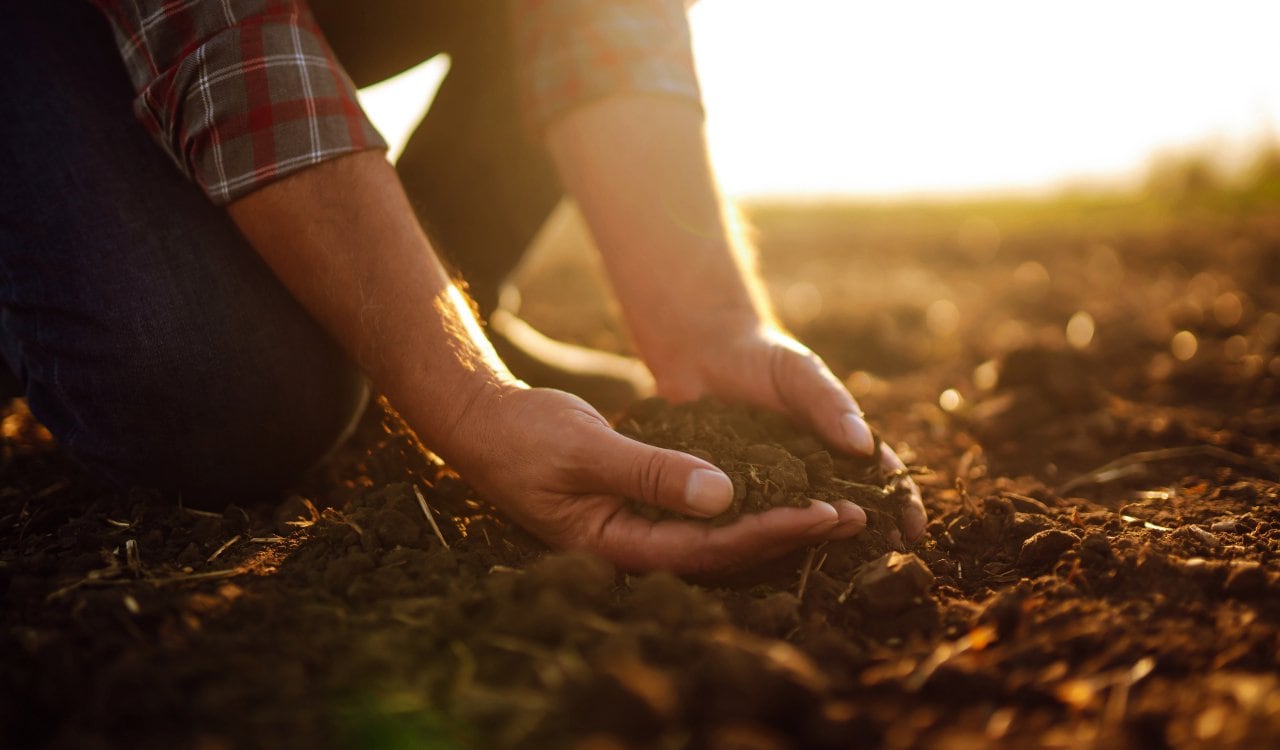 Disturbing Facts About Radioactive Fallout From A Nuclear Bomb