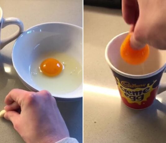 Food Science Facts That Will Change How You Cook