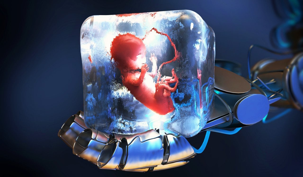 Frozen Fetus
