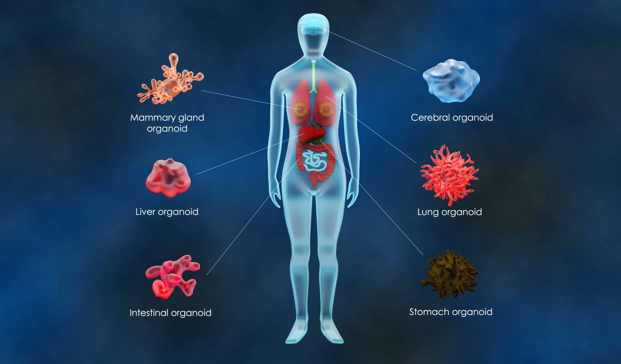 Modern Medicine Will Never Look The Same After These Biotechnology Breakthroughs