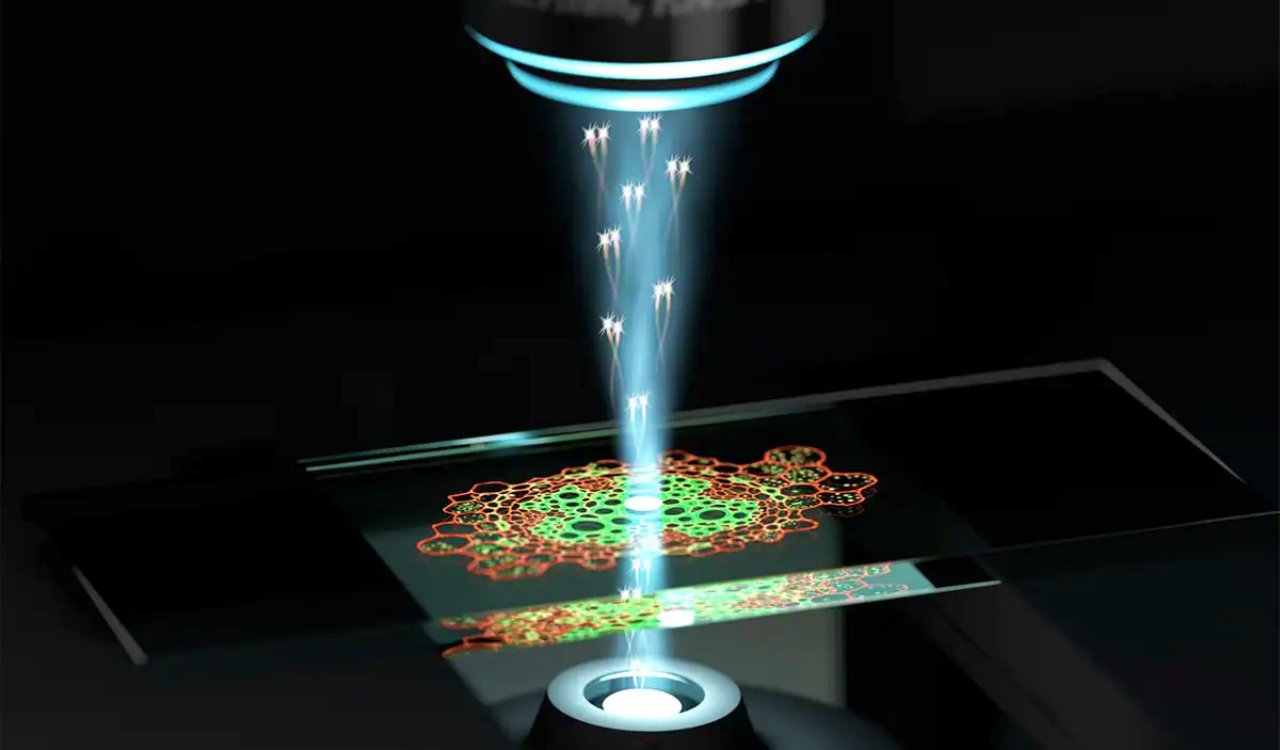 Modern Medicine Will Never Look The Same After These Biotechnology Breakthroughs