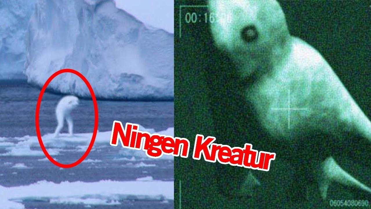 Rare Photos Of Cryptids People Truly Thought Were Real