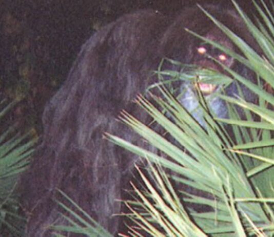Rare Photos Of Cryptids People Truly Thought Were Real