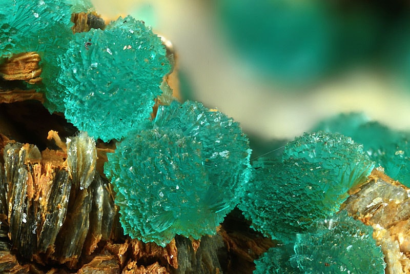 Where You Can Find These Precious Stones In The Wild – Science Sensei