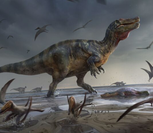 Dinosaur Discoveries That Changed Everything We Thought We Knew