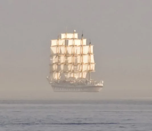 Incredibly Tricky Pictures That Will Make You Do A Double-Take